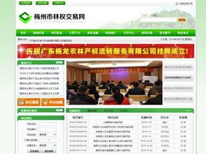 梅州金新科网络公司 企业网站建设与软件开发的专业之选