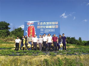 广药集团打造国企践行社会责任的广州样本